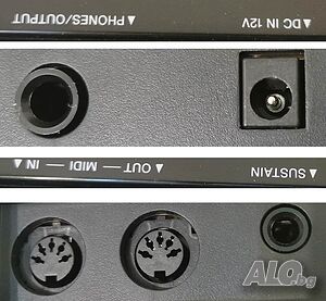 image_9