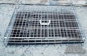 image_9