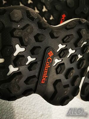 image_6