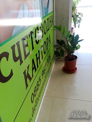 Професионални счетоводни услуги
