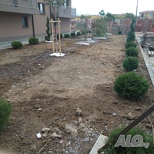 image_9