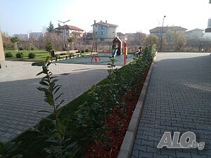 image_15