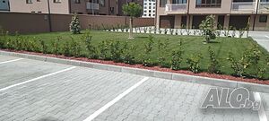 image_11