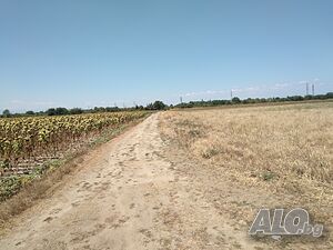 image_4