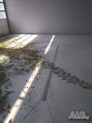 image_7