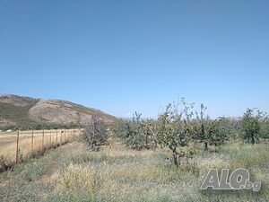 image_7