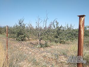 image_9