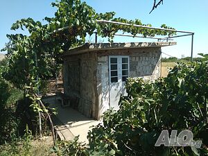 image_11