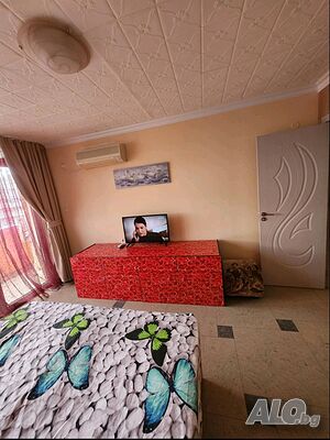 image_5