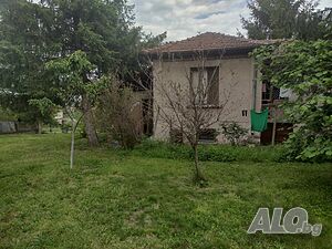 image_10
