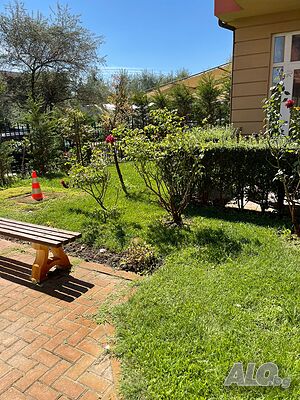 image_23