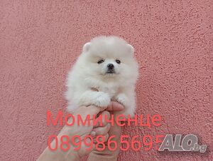 image_3