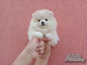 image_4