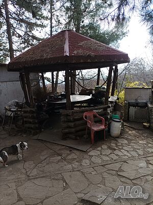 image_10