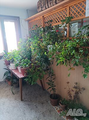 image_11