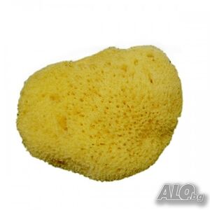 Менструална левантийска гъба Levant L 050, L 060, L 070