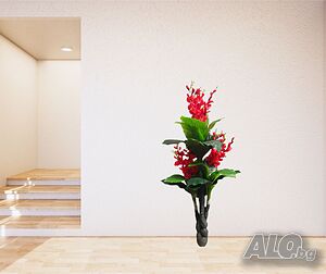 image_3