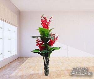 image_4