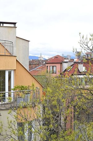 image_12