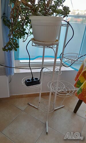 image_4