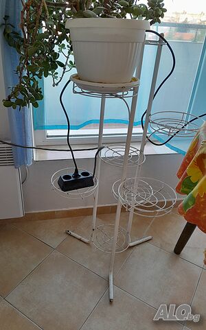 image_7