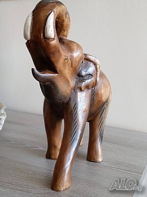 image_6