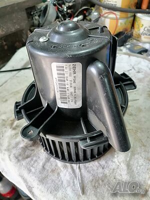 image_2