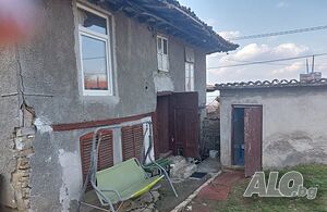 image_11