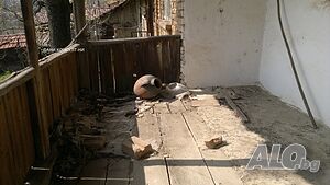 image_7