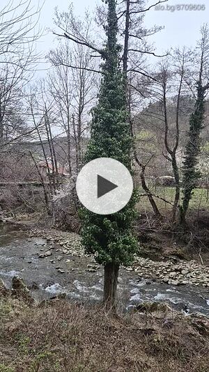 image_15