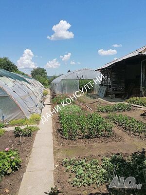 image_7