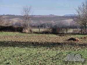 image_15