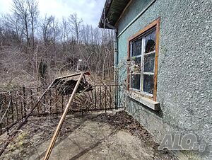 image_10