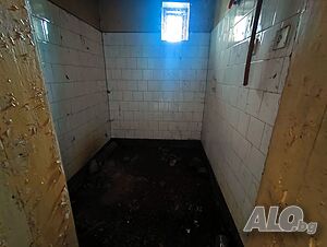 image_11