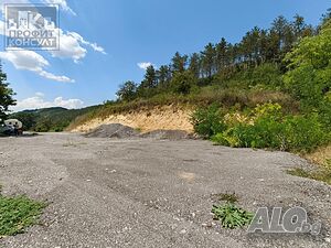 image_5