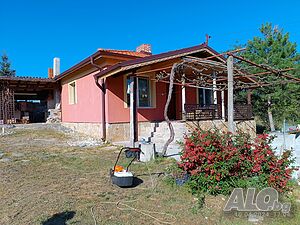 image_3