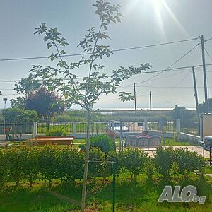 image_12