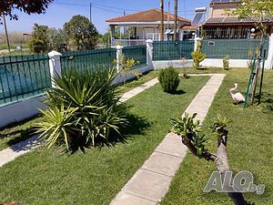 image_19