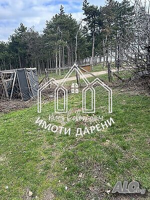 image_9