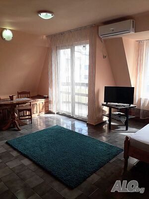 image_11