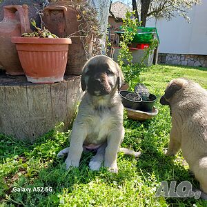 image_8
