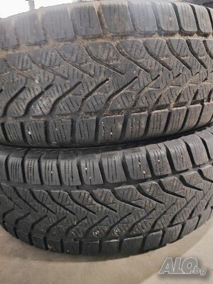 image_7