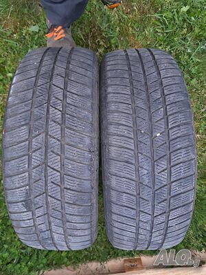 Барум / зимни 2бр. 205/55/16 изгодно