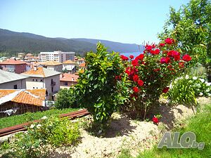 image_26