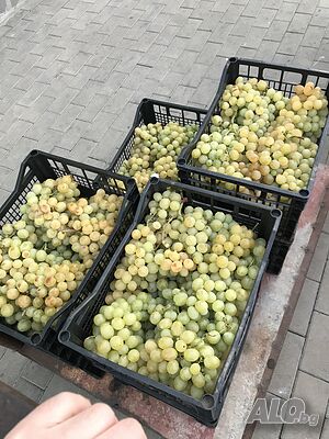 image_3