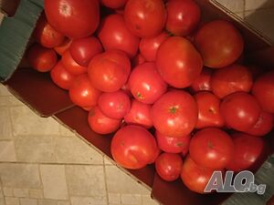 image_9