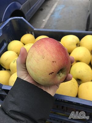 image_10