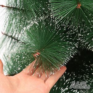 image_4