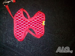 image_3