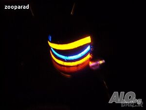 USB зареждащи се LED нашийници. Три режима на светене.